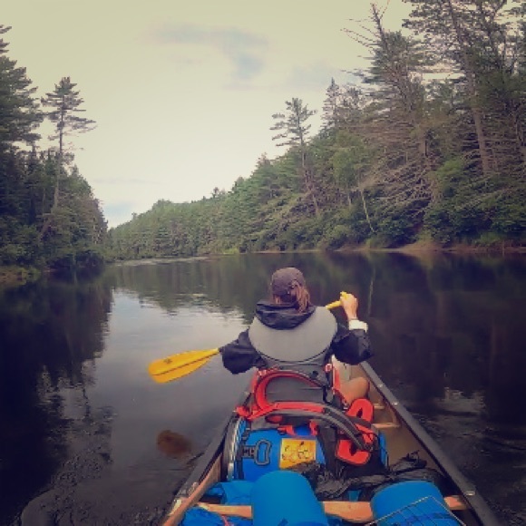 Meet your Posher, Taliya - Picture 1 of 1